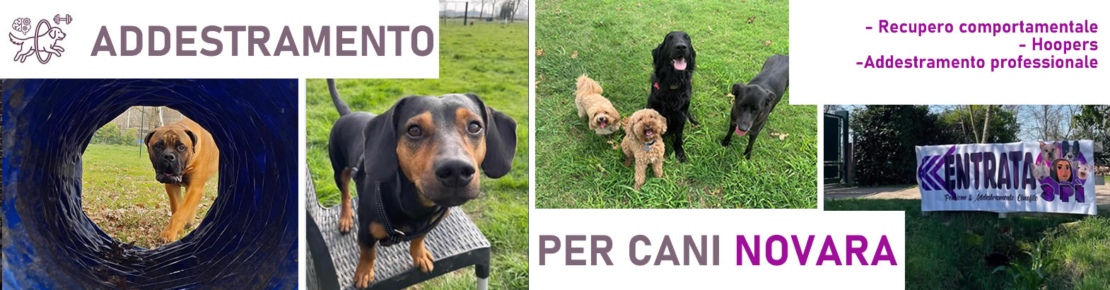 Un centro d'addestramento per cani a Novara con educatori qualificati ENCI
