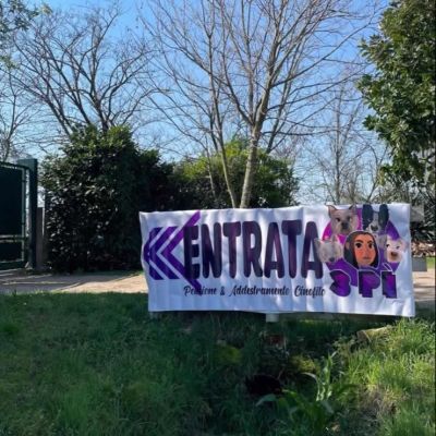entrata centro cinofilo